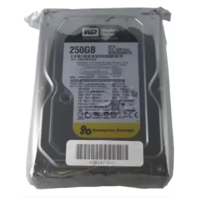 Western Digtal RE4 250 GB Desktop, Surveillance Systems, Network Attached Storage, Servers, All in One PC's Internal Hard Disk Drive (HDD) (WD2503ABYZ) (Interface: SATA, Form Factor: 3.5 inch)